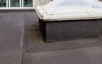 disadvantages of Warter flat roofs