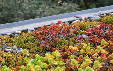the cost of Warter green roof installation