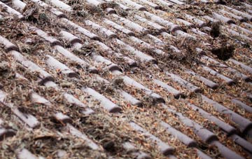 Warter roof cleaning companies