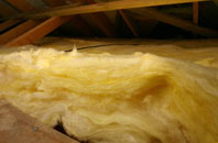 Warter pitch roof insulation